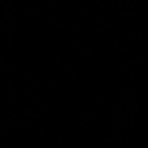 Meet your Posher, Aamna